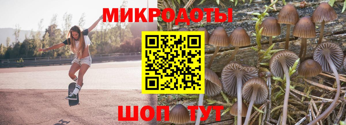Галлюциногенные грибы прущие грибы  хочу наркоту  Бугуруслан  Вход с VPN 