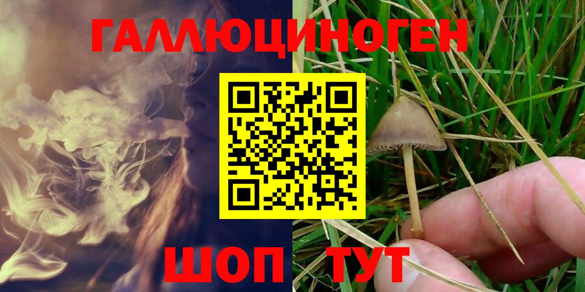 Псилоцибиновые грибы GOLDEN TEACHER Бугуруслан